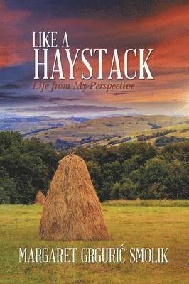 bokomslag Like a Haystack