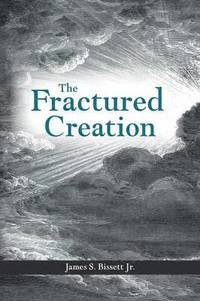 bokomslag Fractured Creation