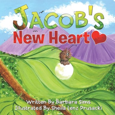 bokomslag Jacob's New Heart