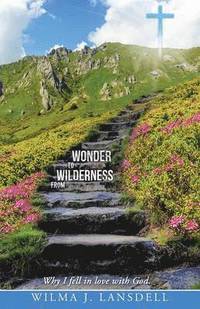 bokomslag From Wilderness to Wonder