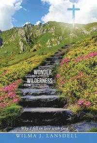 bokomslag From Wilderness to Wonder