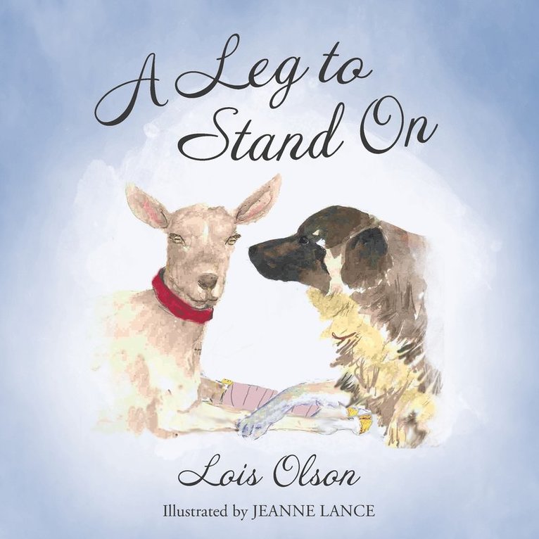 Lois Olson - Leg to Stand On, Häftad