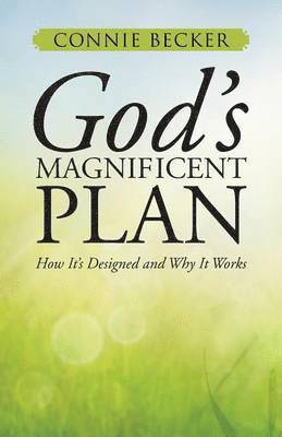 bokomslag God's Magnificent Plan