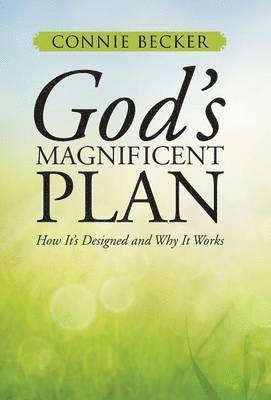 bokomslag God's Magnificent Plan