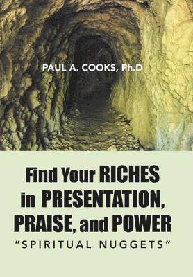 bokomslag Find Your Riches in Presentation, Praise, and Power