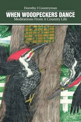 When Woodpeckers Dance 1