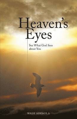 Heaven's Eyes 1