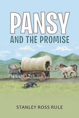 bokomslag Pansy and the Promise