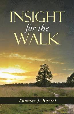 Insight for the Walk 1