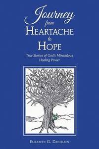 bokomslag Journey from Heartache to Hope