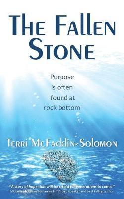 Terri McFaddin-Solomon - Fallen Stone, Häftad