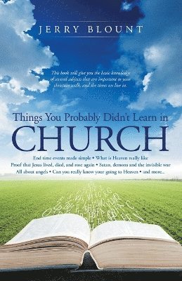 Jerry Blount - Things You Probably Didn't Learn In Church, Häftad