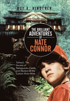 bokomslag Brilliant Adventures of Nate Connor