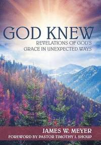 bokomslag God Knew