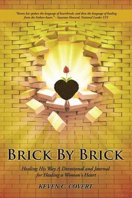 bokomslag Brick By Brick