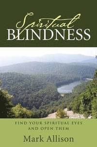 bokomslag Spiritual Blindness