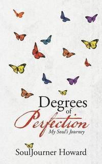 bokomslag Degrees of Perfection