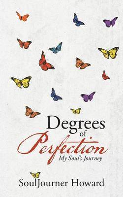 bokomslag Degrees of Perfection