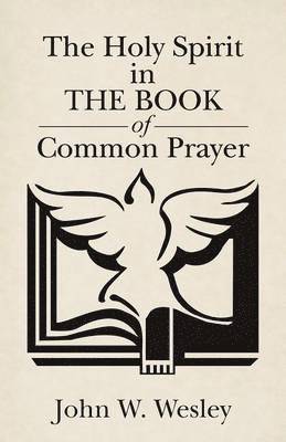 bokomslag Holy Spirit in The Book of Common Prayer
