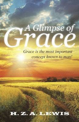 bokomslag Glimpse of Grace