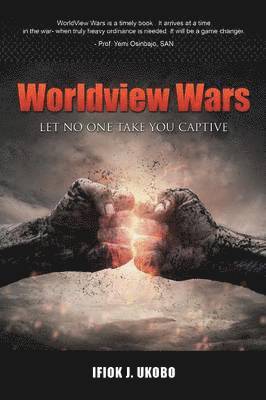 bokomslag Worldview Wars