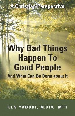 bokomslag Why Bad Things Happen To Good People And What Can Be Done about It