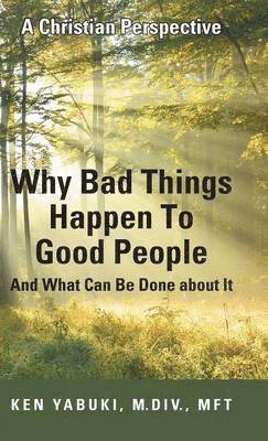 bokomslag Why Bad Things Happen To Good People And What Can Be Done about It