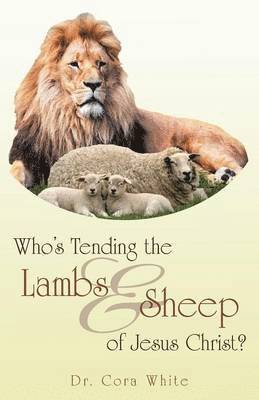 bokomslag Who's Tending the Lambs & Sheep of Jesus Christ?