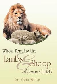 bokomslag Who's Tending the Lambs & Sheep of Jesus Christ?