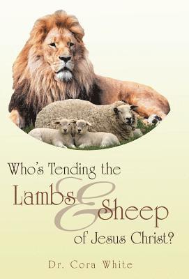 bokomslag Who's Tending the Lambs & Sheep of Jesus Christ?