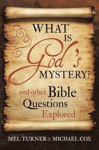 bokomslag What is God's Mystery?