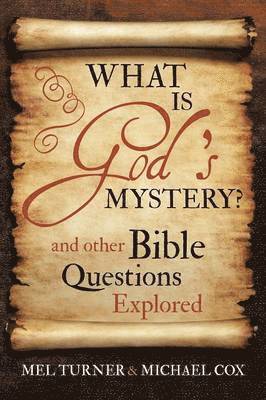 bokomslag What is God's Mystery?