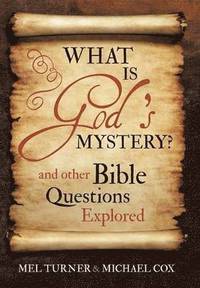 bokomslag What is God's Mystery?