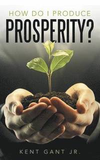 bokomslag How Do I Produce Prosperity?