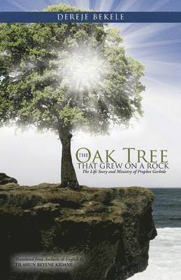 The Oak Tree that Grew on a Rock 1