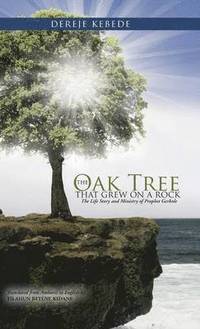 bokomslag The Oak Tree that Grew on a Rock