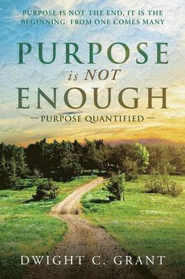 Purpose Is Not Enough 1