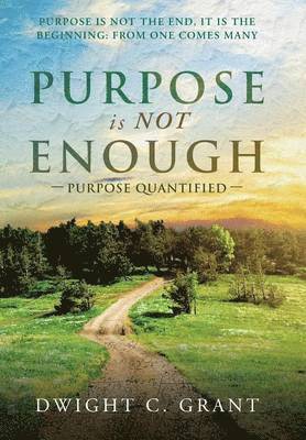 Purpose Is Not Enough 1