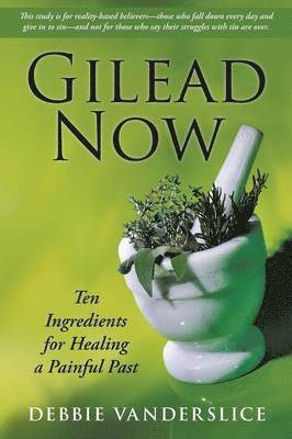 bokomslag Gilead Now