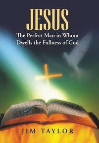 bokomslag Jesus The Perfect Man in Whom Dwells the Fullness of God