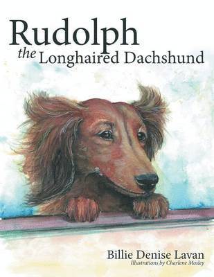 Rudolph the Longhaired Dachshund 1