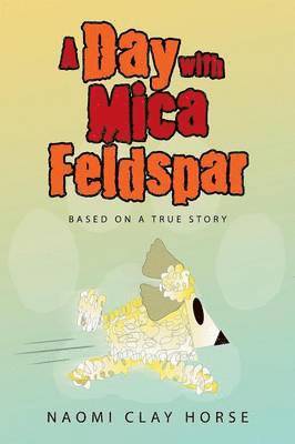 bokomslag A Day with Mica Feldspar