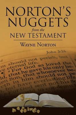 bokomslag Norton's Nuggets from the New Testament