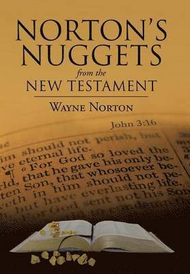 bokomslag Norton's Nuggets from the New Testament