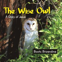 bokomslag The Wise Owl