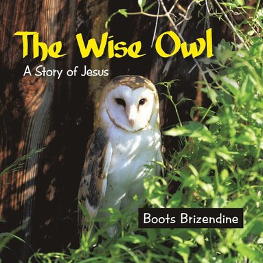 bokomslag The Wise Owl