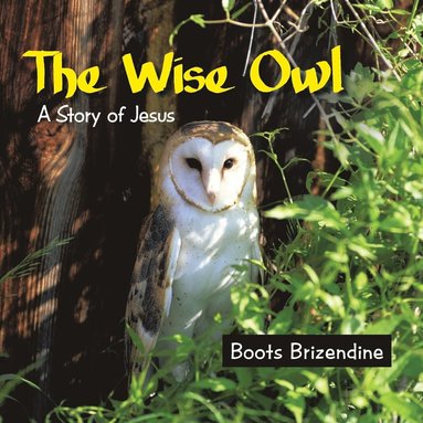 bokomslag Wise Owl