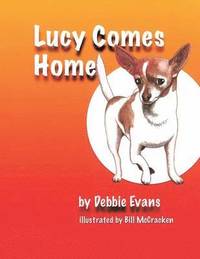 bokomslag Lucy Comes Home