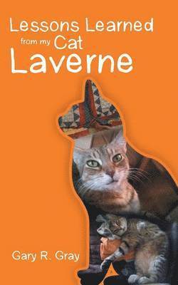 bokomslag Lessons Learned from my Cat Laverne