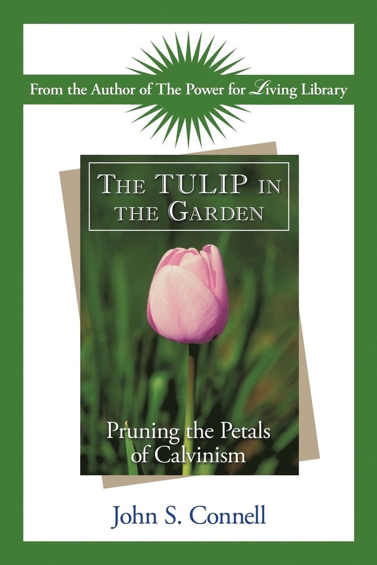 Tulip in the Garden 1